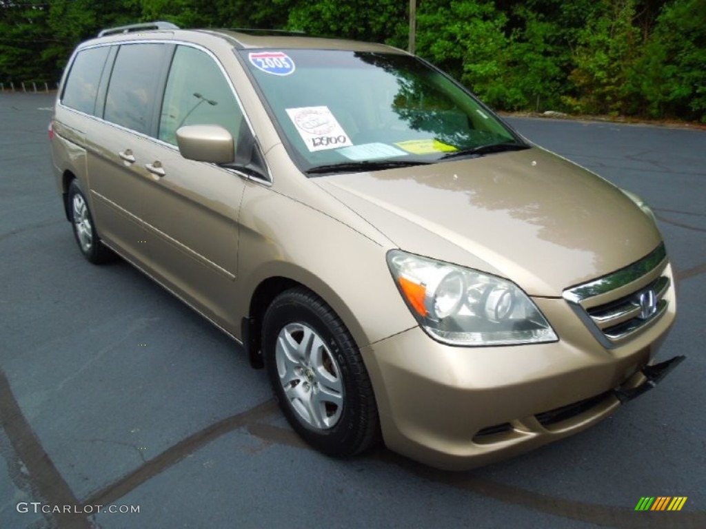 2005 Honda odyssey desert rock metallic #6