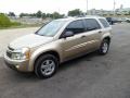 2005 Sandstone Metallic Chevrolet Equinox LS  photo #8