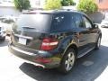 Black - ML 350 Photo No. 2