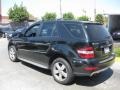 Black - ML 350 Photo No. 4