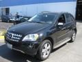 Black - ML 350 Photo No. 5