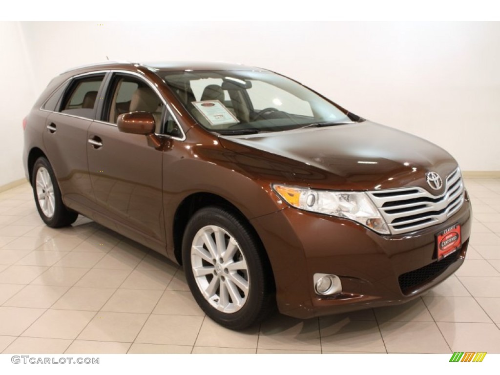 2009 Venza I4 - Sunset Bronze Mica / Ivory photo #1