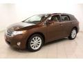 2009 Sunset Bronze Mica Toyota Venza I4  photo #3