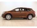 2009 Sunset Bronze Mica Toyota Venza I4  photo #4