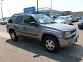 Graystone Metallic - TrailBlazer LS 4x4 Photo No. 2