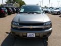 Graystone Metallic - TrailBlazer LS 4x4 Photo No. 3