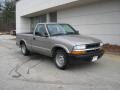 Pewter Metallic - S10 Regular Cab Photo No. 1