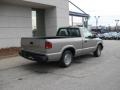 Pewter Metallic - S10 Regular Cab Photo No. 6