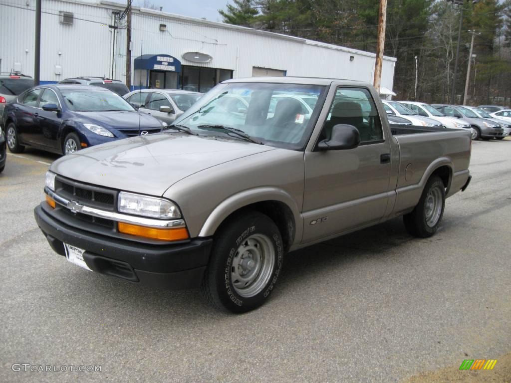 1998 S10 Regular Cab - Pewter Metallic / Graphite photo #9