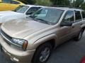 Sandstone Metallic - TrailBlazer LS 4x4 Photo No. 2