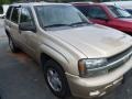 Sandstone Metallic - TrailBlazer LS 4x4 Photo No. 3