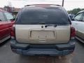 Sandstone Metallic - TrailBlazer LS 4x4 Photo No. 4