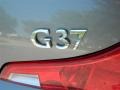 Platinum Graphite - G 37 Journey Coupe Photo No. 7