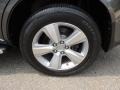 Polished Metal Metallic - MDX  Photo No. 5