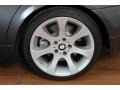 2007 BMW 3 Series 335i Sedan Wheel and Tire Photo