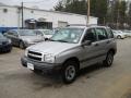 Silverleaf Metallic - Tracker 4WD Hard Top Photo No. 10