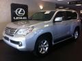 Tungsten Silver Pearl - GX 460 Premium Photo No. 3