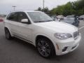 Alpine White - X5 xDrive 50i Photo No. 5