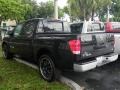 Galaxy Black - Titan XE Crew Cab Photo No. 8