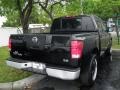 Galaxy Black - Titan XE Crew Cab Photo No. 13