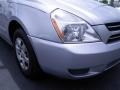 2007 Silver Kia Sedona LX  photo #2