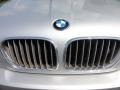 2001 Titanium Silver Metallic BMW X5 4.4i  photo #31