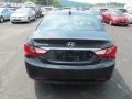 Pacific Blue Pearl - Sonata GLS Photo No. 7