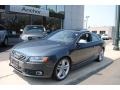 Meteor Grey Pearl Effect - S5 4.2 quattro Photo No. 1
