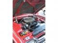Rangoon Red - Thunderbird Landau Photo No. 8