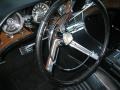 Rangoon Red - Thunderbird Landau Photo No. 12