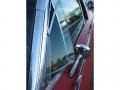 Rangoon Red - Thunderbird Landau Photo No. 27