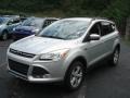 Ingot Silver Metallic 2013 Ford Escape Gallery