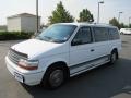 1991 Bright White Plymouth Grand Voyager SE  photo #3