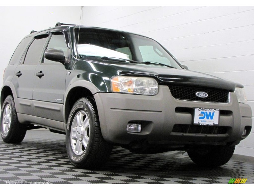 2002 Escape XLT V6 4WD - Dark Highland Green Metallic / Medium Parchment photo #1