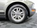 2005 Mineral Grey Metallic Ford Mustang V6 Premium Coupe  photo #24