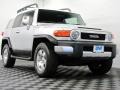 Titanium Metallic - FJ Cruiser 4WD Photo No. 1