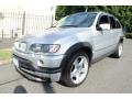 2003 Titanium Silver Metallic BMW X5 4.6is  photo #1