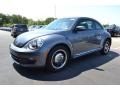 Platinum Gray Metallic - Beetle 2.5L Photo No. 1