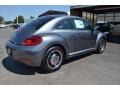 Platinum Gray Metallic - Beetle 2.5L Photo No. 2