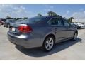 Platinum Gray Metallic - Passat 2.5L SE Photo No. 2