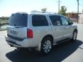 Silver Indulgence - QX 56 4WD Photo No. 7