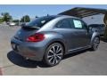 Platinum Gray Metallic - Beetle Turbo Photo No. 2