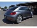 Platinum Gray Metallic - Beetle 2.5L Photo No. 2