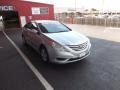 Radiant Silver - Sonata GLS Photo No. 7