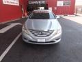 Radiant Silver - Sonata GLS Photo No. 8