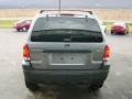 2007 Tungsten Grey Metallic Ford Escape XLT V6  photo #14