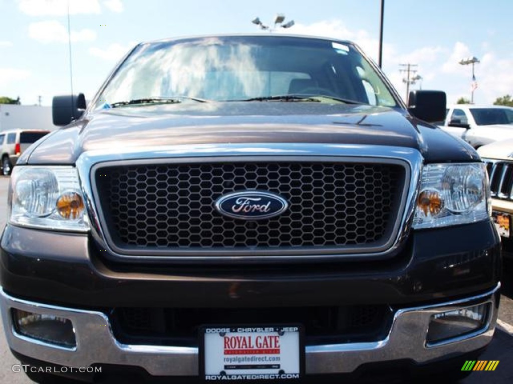 2005 F150 Lariat SuperCrew - Dark Stone Metallic / Tan photo #6