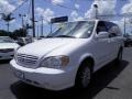 2002 Clear White Kia Sedona EX  photo #9