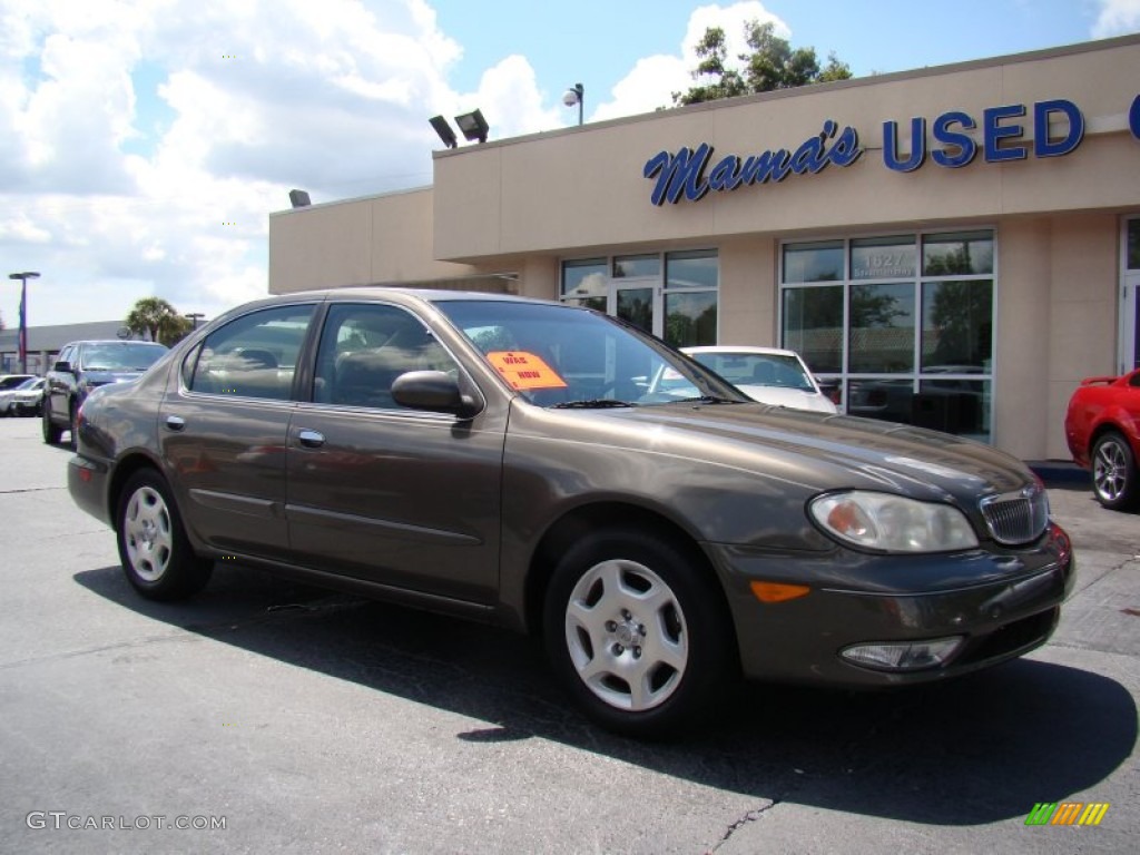 2000 I 30 - Autumn Bronze Pearl / Beige photo #2