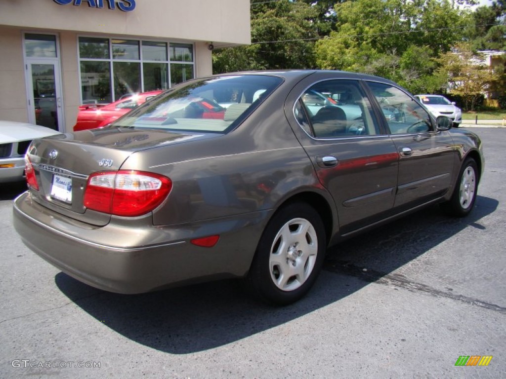 2000 I 30 - Autumn Bronze Pearl / Beige photo #8